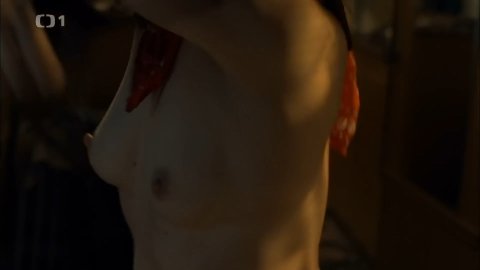 Tatiana Vilhelmova - Topless Scenes in Nevinné lži s02e03 (2014)